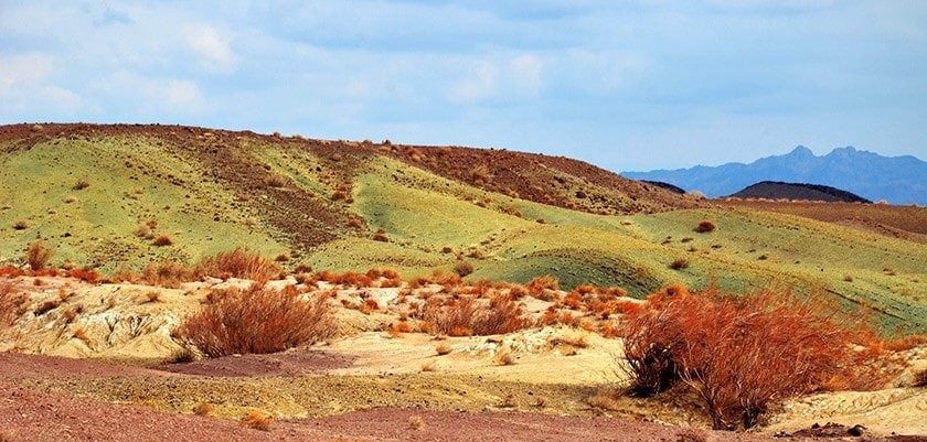 ذخیره‌گاه زیستکره توران