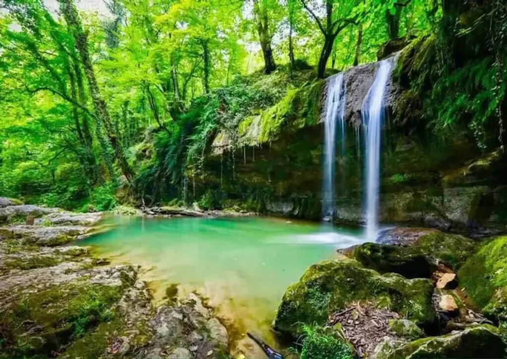 همه چیز درباره جنگل لفور و 7 منطقه دیدنی در دل آن