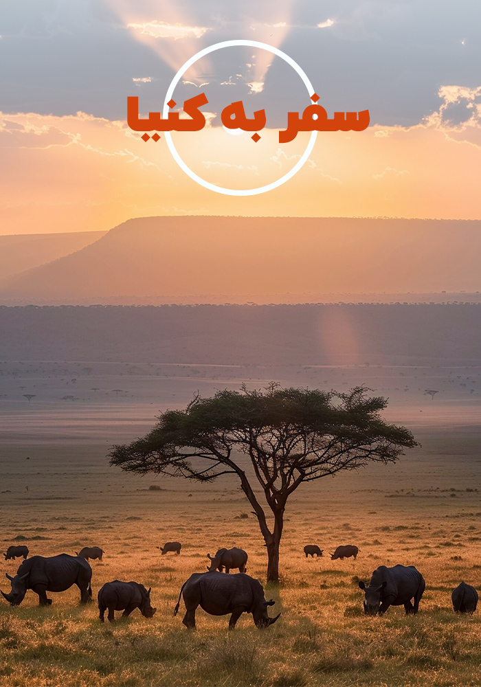 تور کنیا