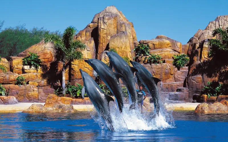 Sea World